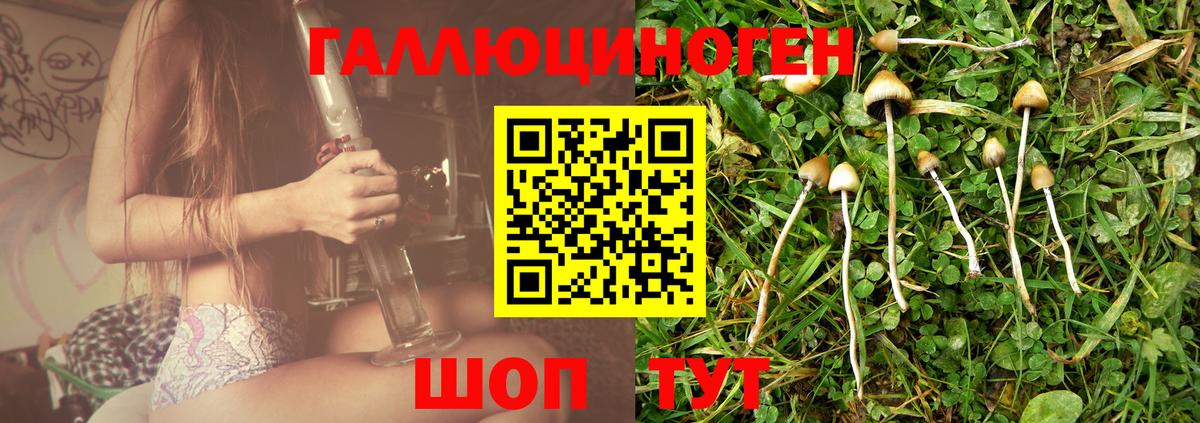 Псилоцибиновые грибы MAGIC MUSHROOMS  дарнет шоп  Губаха  Вход с VPN 
