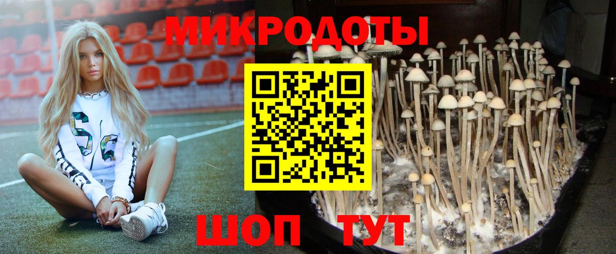 Псилоцибиновые грибы MAGIC MUSHROOMS Губаха